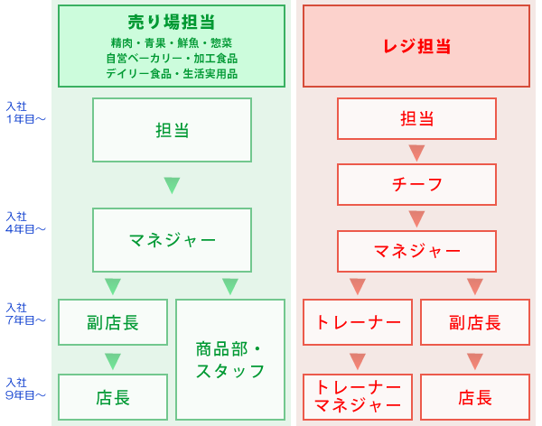 キャリアプラン